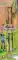 Thunder Crackling Pencil (2 Pc)